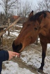 Я знаю, ты - из работяг. На, дёрни, только не взатяг!