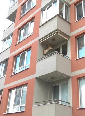 Сразу видно: муж в командировке. 