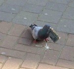 мне пожалуйста батона на все