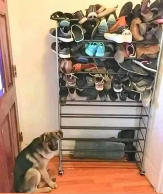 Клептоман.