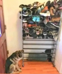 Клептоман.