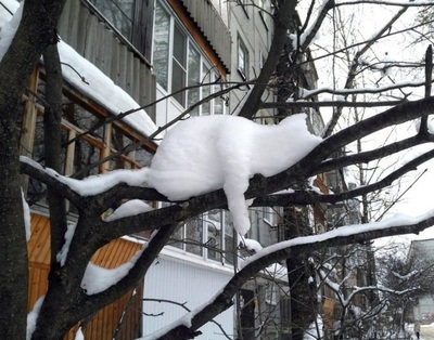 Снежный Барсик