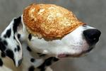  : "Блин! Я устал стоять вот так: Когда же будет команда "Ап!"