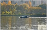 M3829_preview