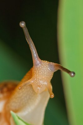 M6345_large