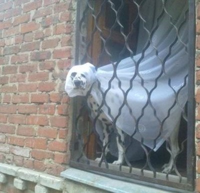 А невесту забыли