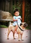 M6545_preview
