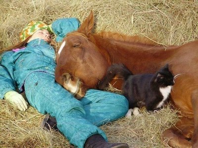 Ухайдоканные