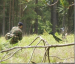 M6953_preview