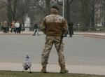 M7434_preview