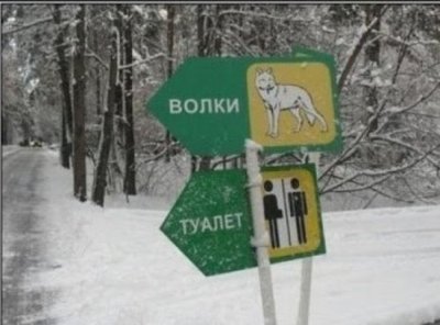 У волков общий туалет для мальчиков и девочек?!