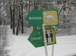 У волков общий туалет для мальчиков и девочек?!