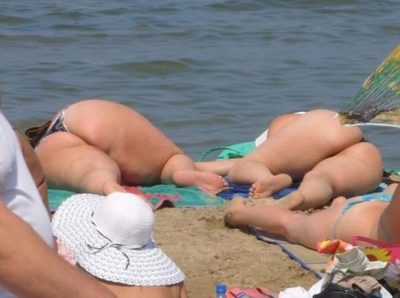 Так вот вы какие, морские свинки!