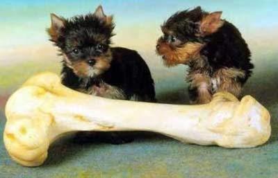 : "А, может, зря мы его так?.."