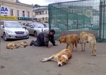 Подвиньтесь, я лягу!