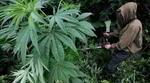 M9405_preview