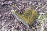 M9642_preview