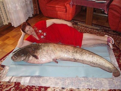 M9654_large