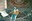 U389_thumb