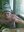 U774_thumb