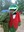 U825_thumb