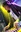 U834_thumb