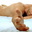 U905_thumb