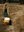 U929_thumb