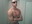 U1190_thumb
