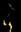U1212_thumb