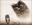 U1610_thumb