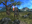 U1696_thumb