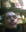 U1767_thumb