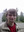 U1810_thumb