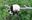 U10024_thumb