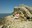 U10059_thumb