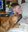 U10398_thumb