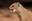 U12282_thumb