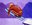 U12479_thumb