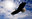 U13767_thumb
