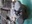 U13827_thumb
