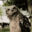 U14144_thumb