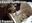 U14393_thumb