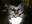 U14455_thumb