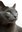 U14493_thumb