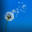 U14538_thumb