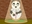 U14649_thumb