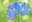 U15312_thumb