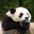 U15381_thumb