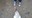 U15600_thumb